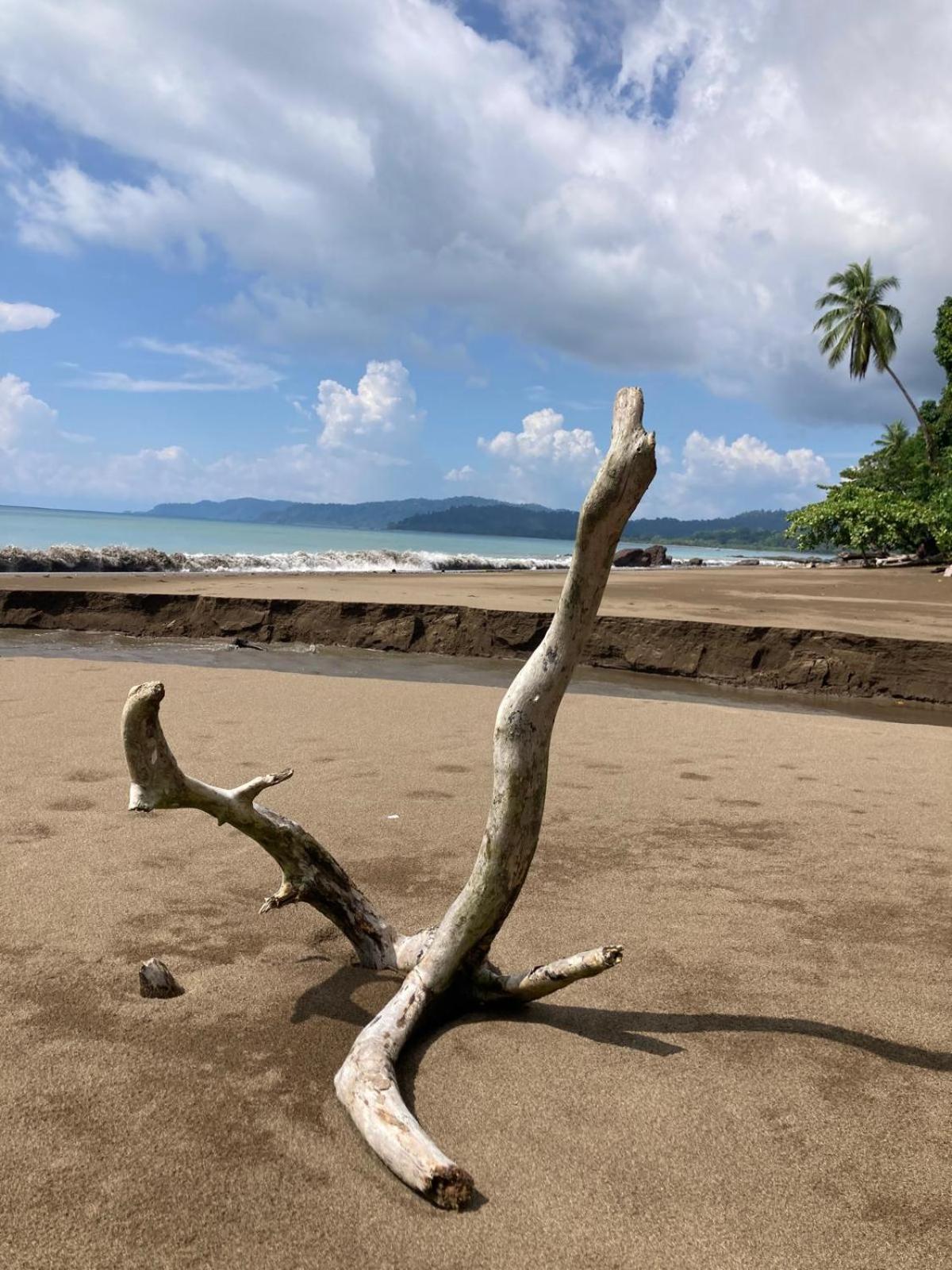 Corcovado & Drake Inn Драке Экстерьер фото