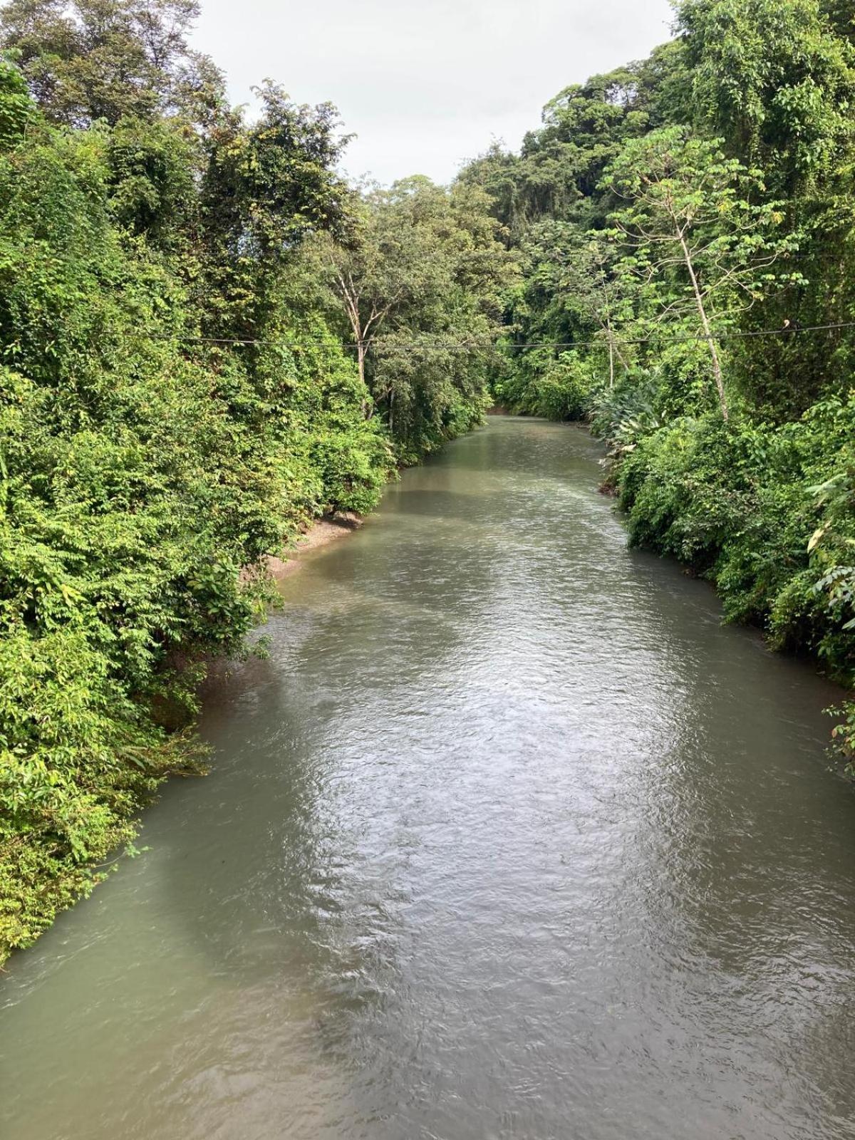 Corcovado & Drake Inn Драке Экстерьер фото