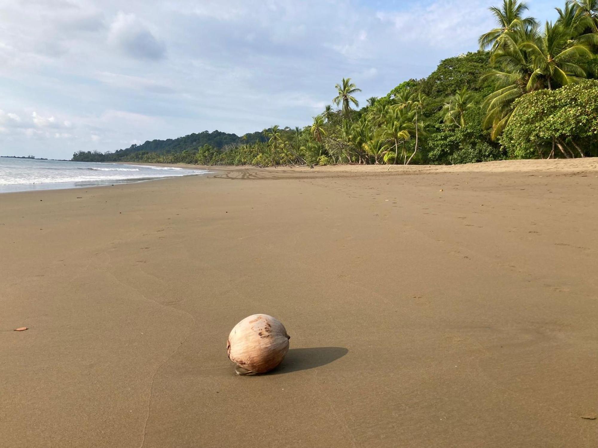 Corcovado & Drake Inn Драке Экстерьер фото