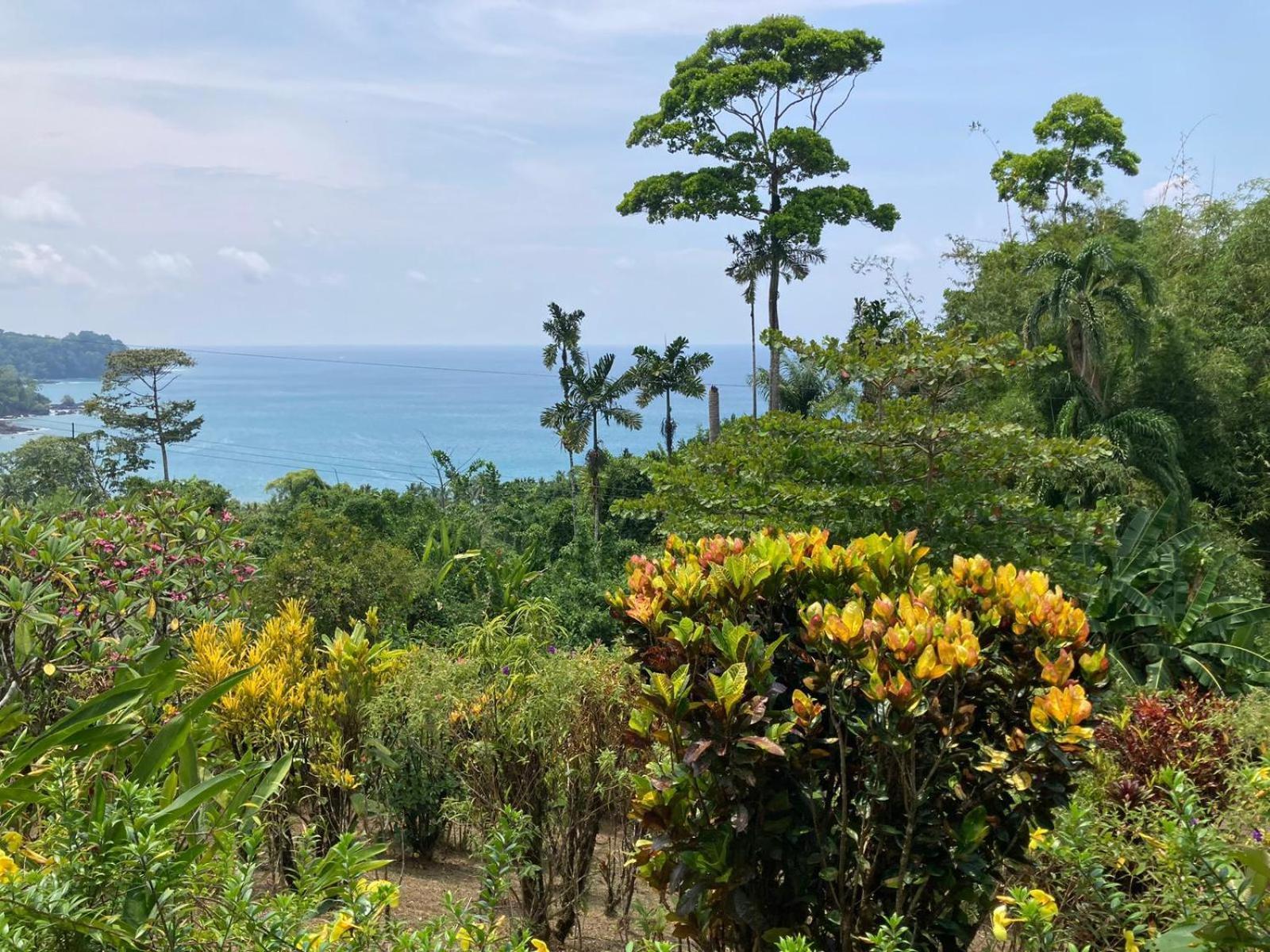 Corcovado & Drake Inn Драке Экстерьер фото
